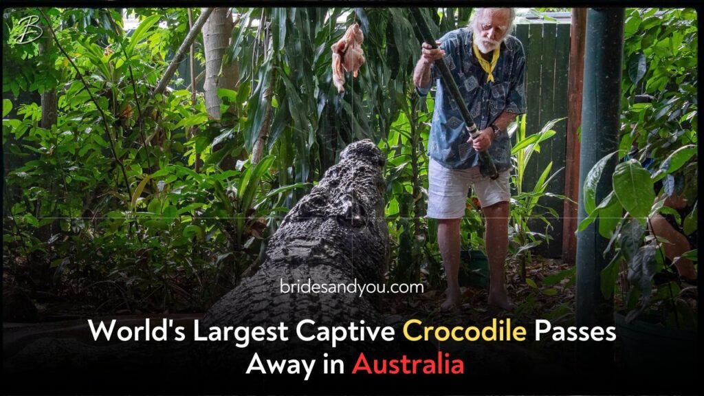 World's Largest Captive Crocodile Passes Away in Australia