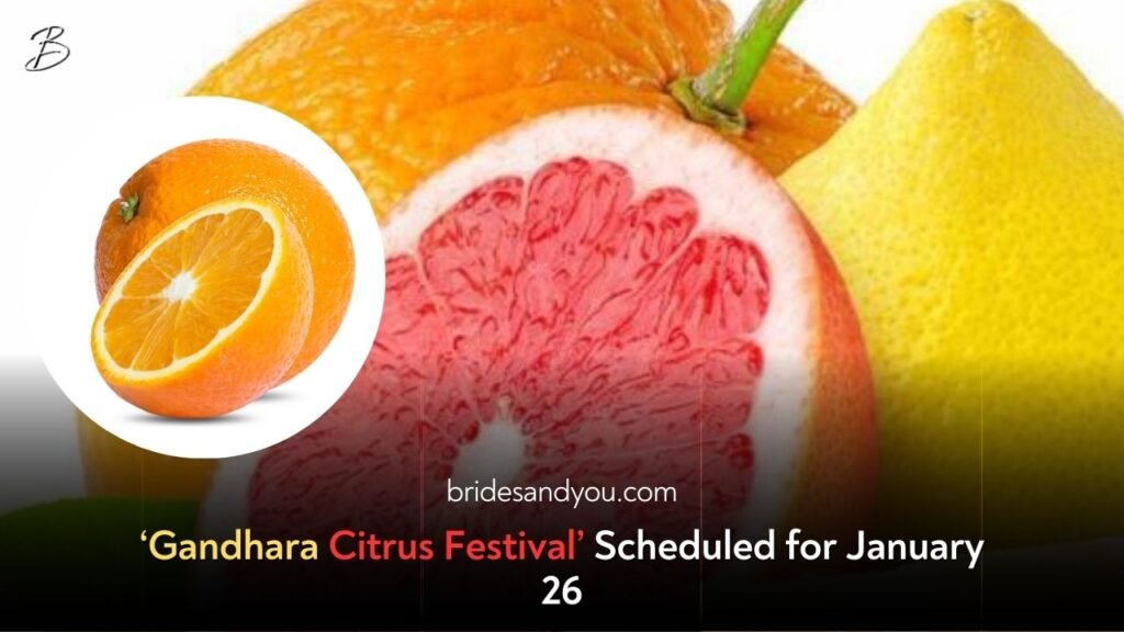 Celebrate the Vibrant Culture and Citrus Heritage at the 3rd Annual Gandhara Citrus Festival 2025