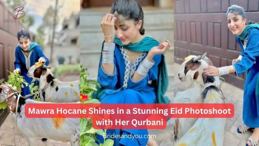 Mawra Hocane Eid ul Azha Photoshoot