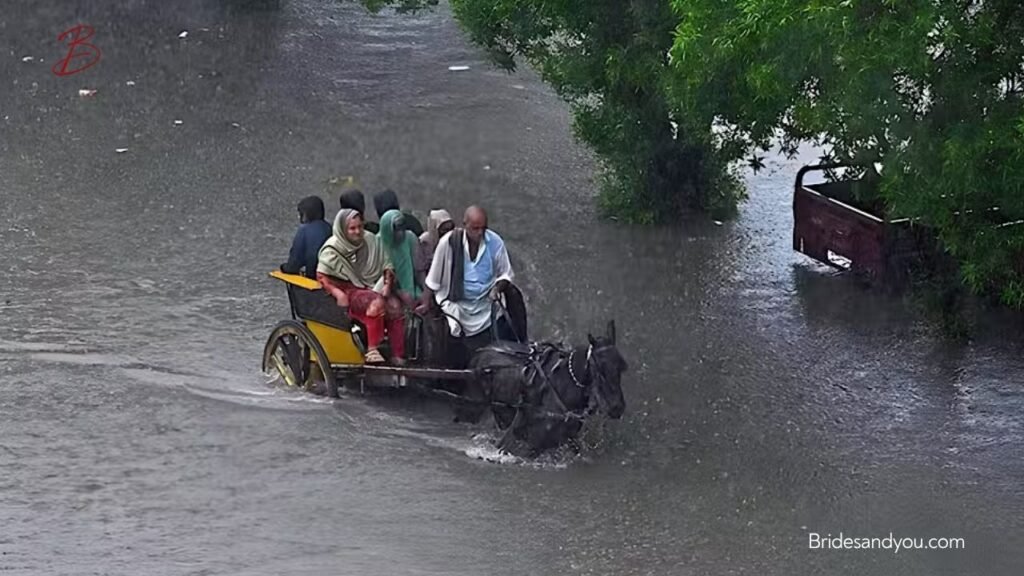 Heavy Rainfall in Punjab and KPK